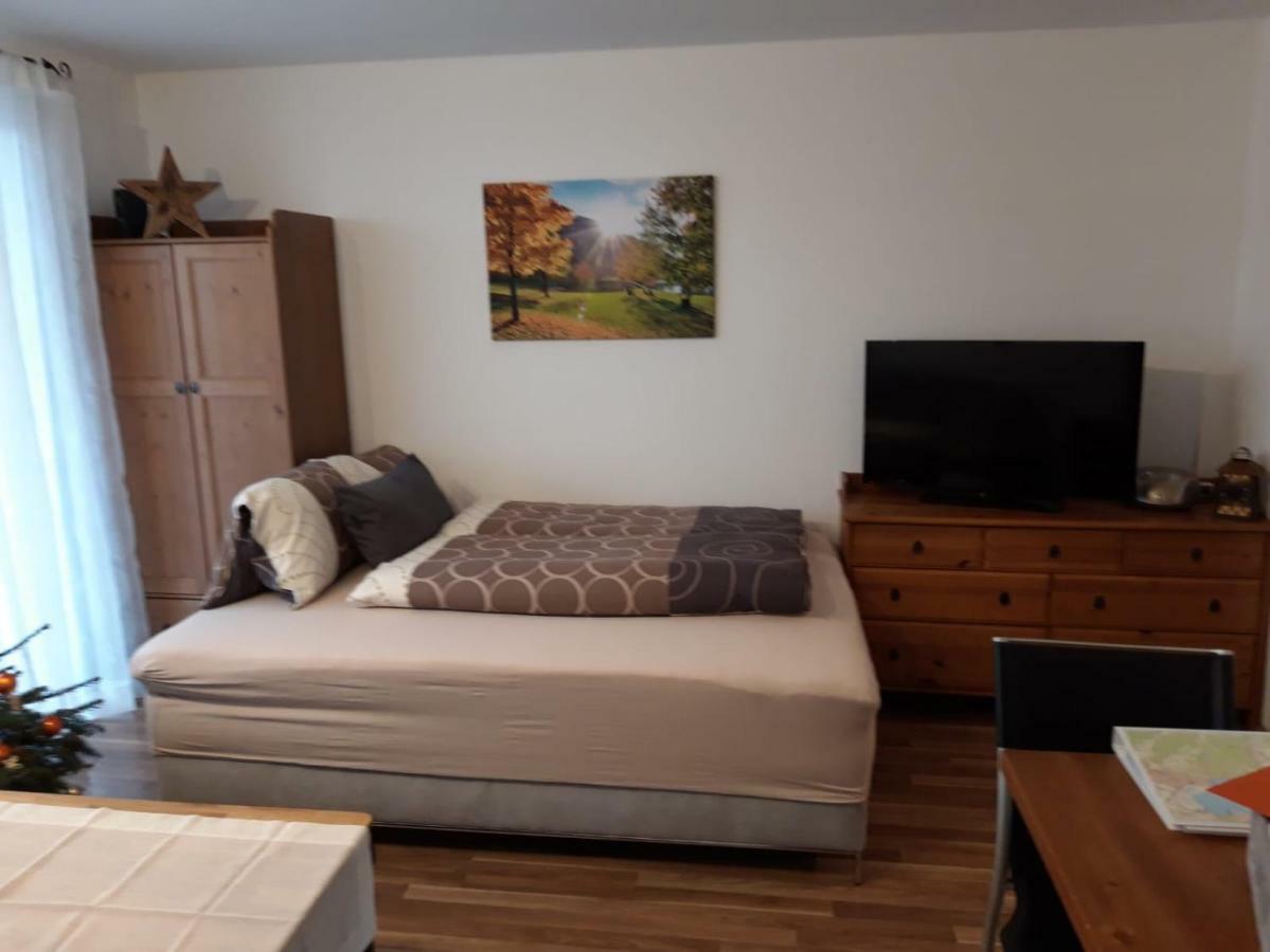 Apartment Kendlbacher ツェル アム ゼー エクステリア 写真